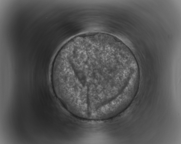 X0000088480912200706191404