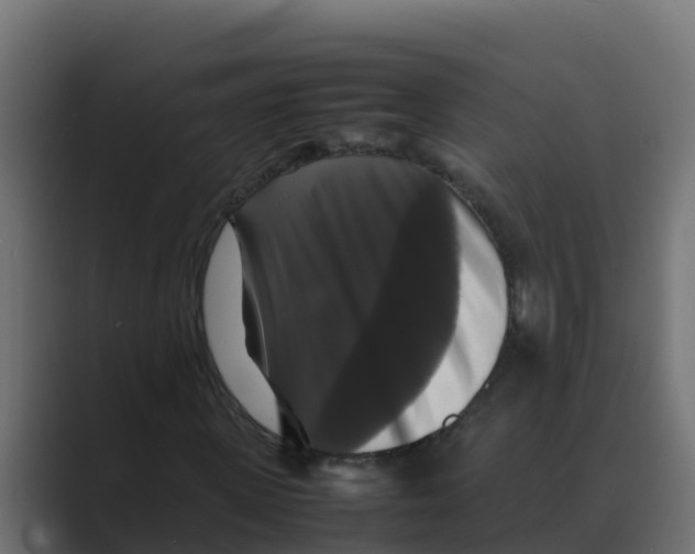 X0000088480915200706191404