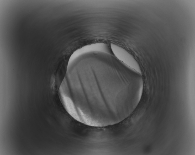 X0000088480916200706191404