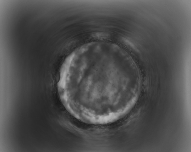 X0000088480917200706191404