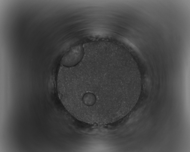 X0000088480918200706191404