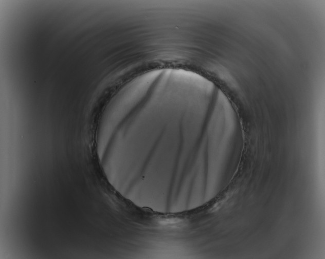 X0000088480920200706191404