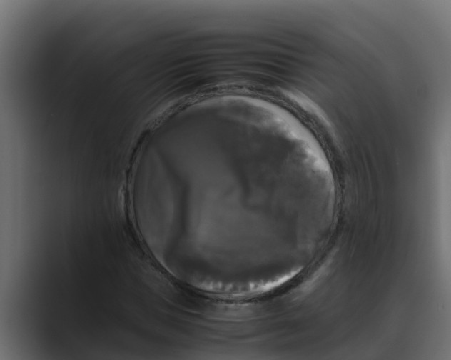 X0000088480921200706191404