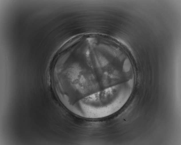 X0000088480925200706191404