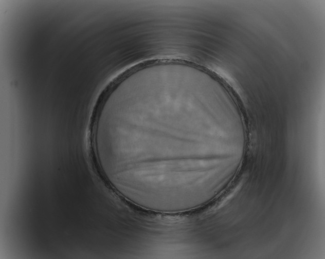 X0000088480928200706191404