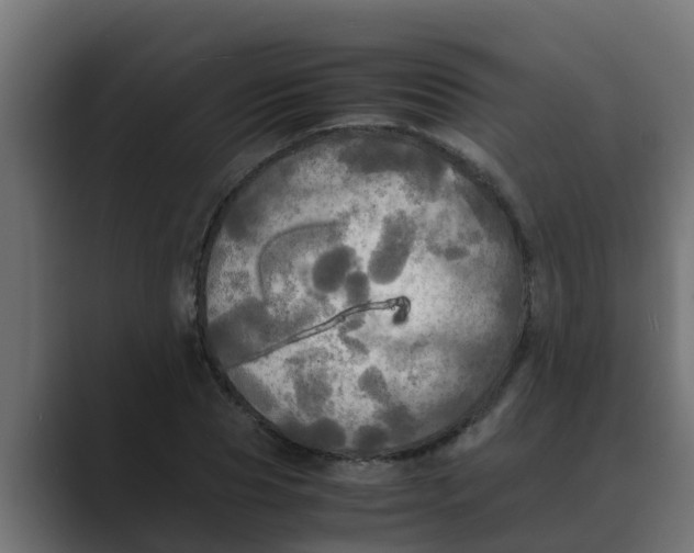 X0000088480929200706191404