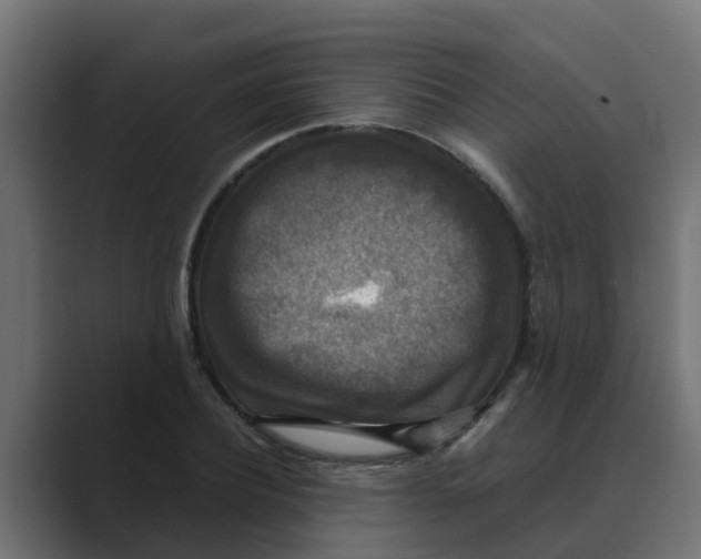 X0000088480932200706191404