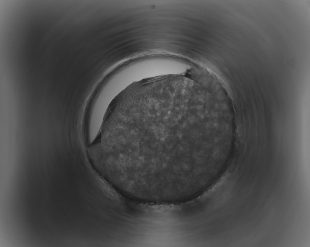 X0000088480934200706191404