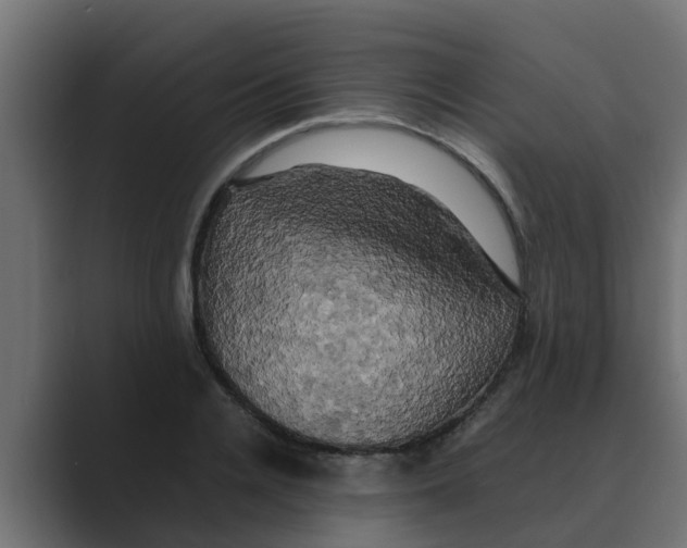 X0000088480936200706191404