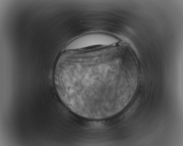 X0000088480937200706191404