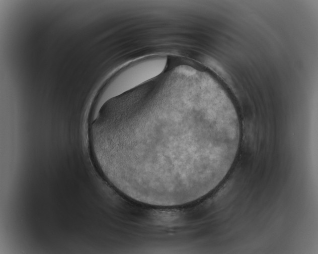 X0000088480939200706191404