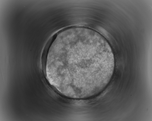 X0000088480940200706191404