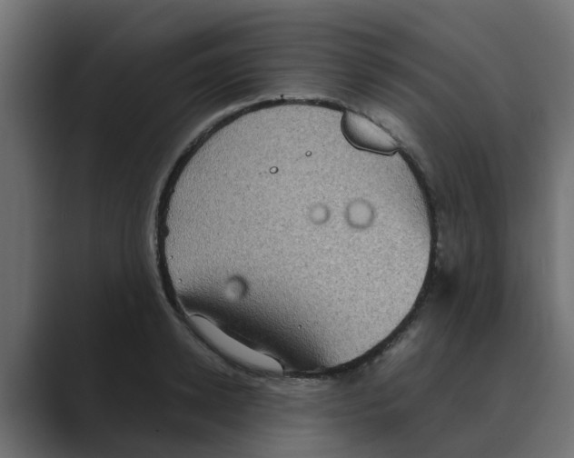 X0000088480942200706191404