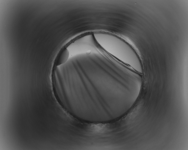 X0000088480943200706191404