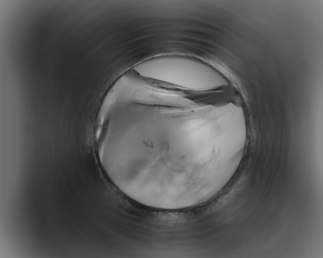 X0000088480945200706191404