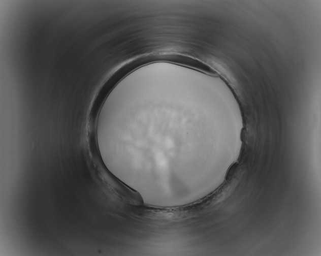 X0000088480948200706191404