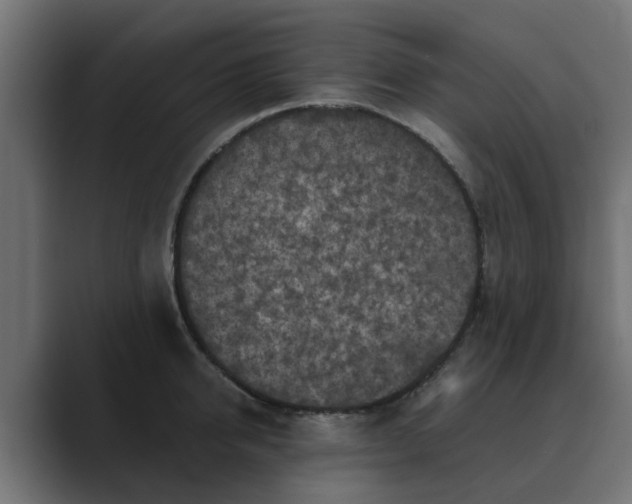 X0000088480950200706191404