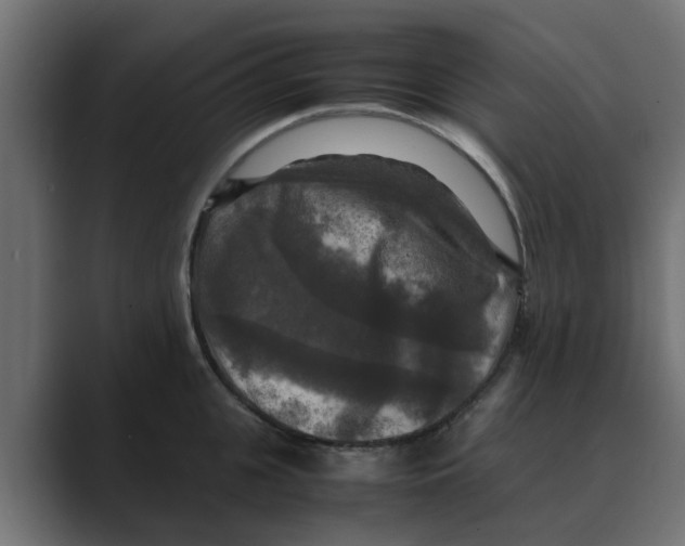 X0000088480951200706191404