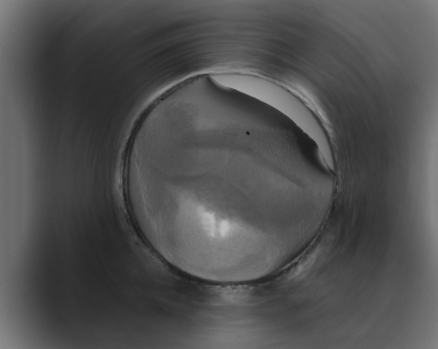 X0000088480952200706191404