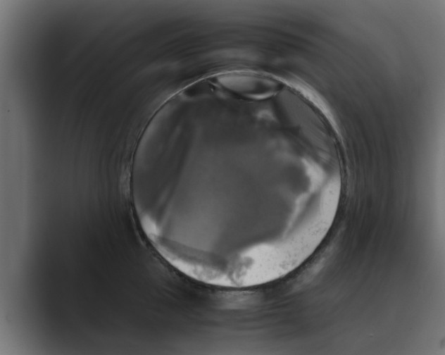 X0000088480953200706191404