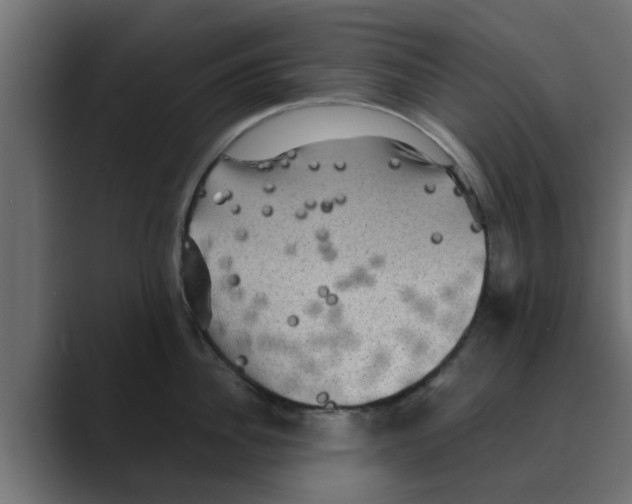 X0000088480956200706191404