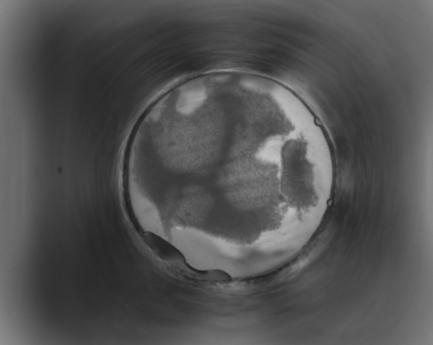 X0000088480957200706191404