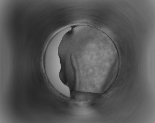 X0000088480960200706191404