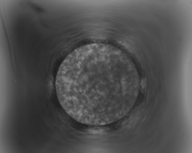 X0000088480963200706191404