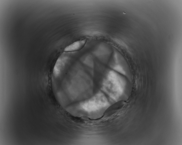 X0000088480966200706191404