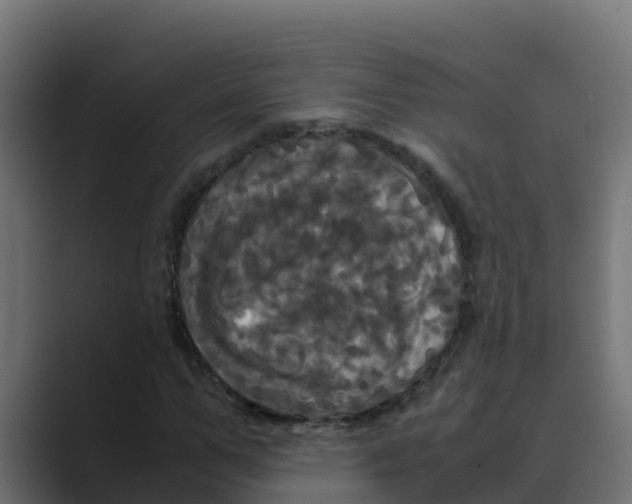 X0000088480967200706191404