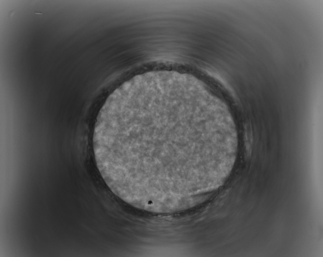 X0000088480968200706191404