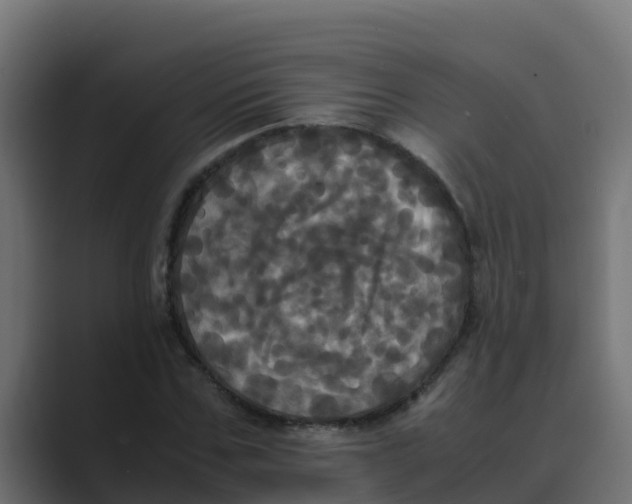 X0000088480971200706191403