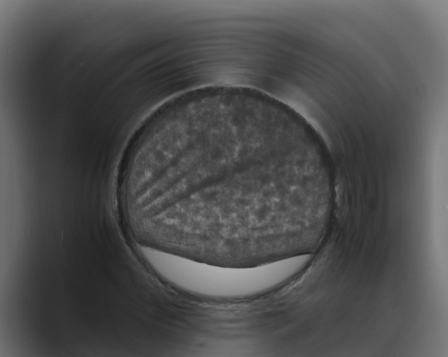 X0000088480972200706191403