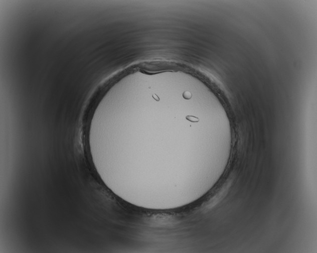 X0000088480974200706191403