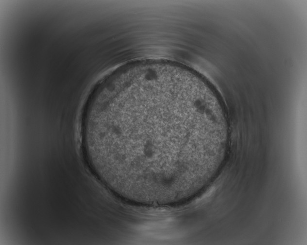 X0000088480979200706191403