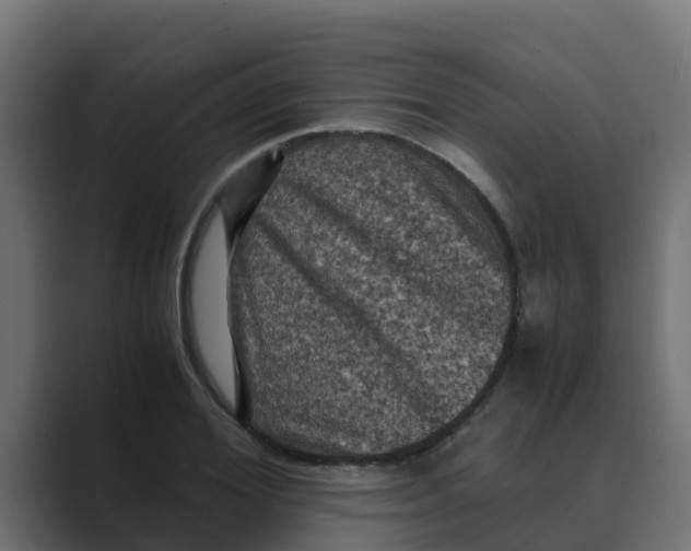 X0000088480980200706191403