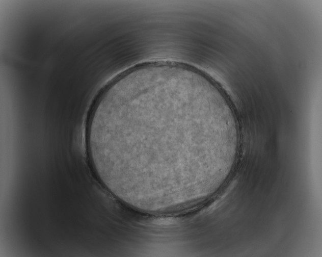 X0000088480982200706191403