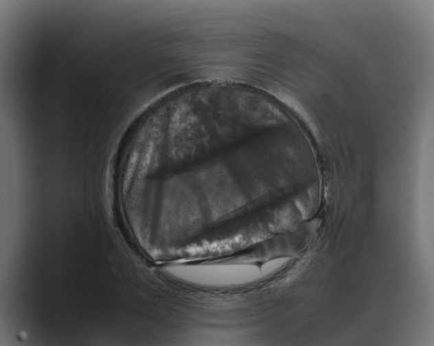 X0000088480983200706191403