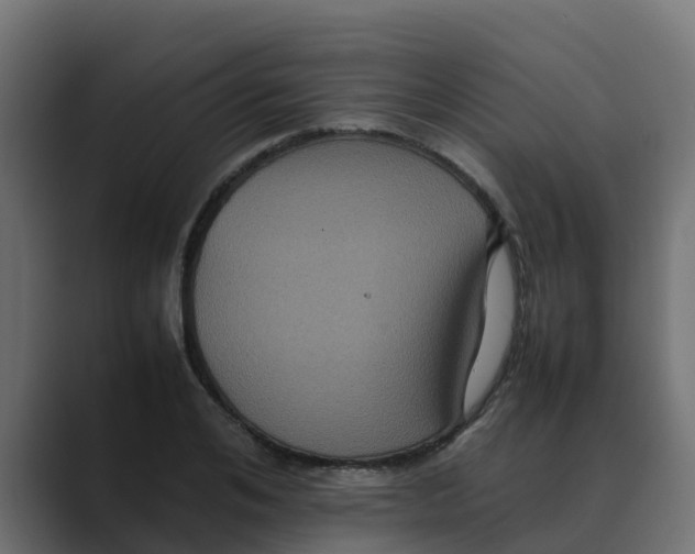 X0000088480984200706191403