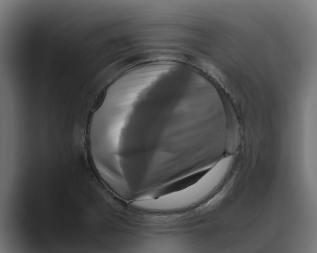 X0000088480985200706191403