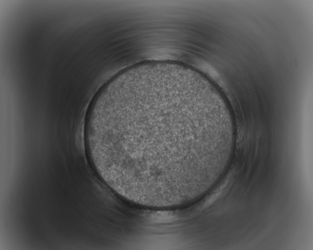 X0000088480986200706191403