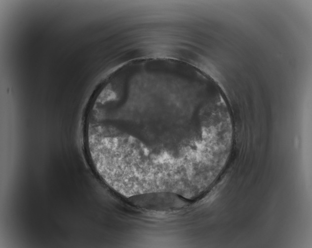 X0000088480987200706191403