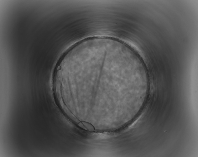 X0000088480990200706191403