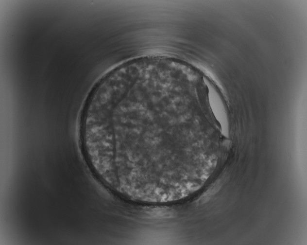 X0000088480991200706191403