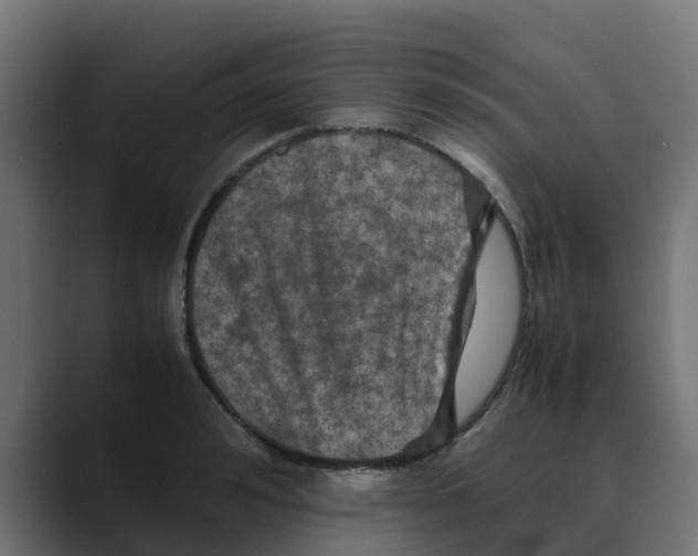 X0000088480992200706191403