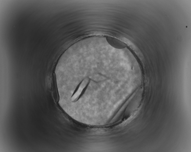 X0000088480993200706191403