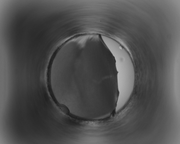 X0000088480995200706191403