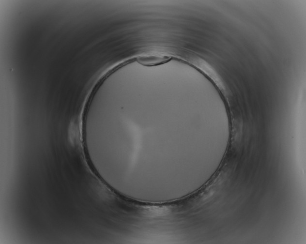 X0000088480996200706191403