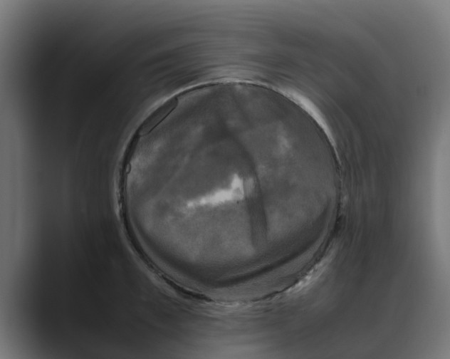 X0000088480997200706191403