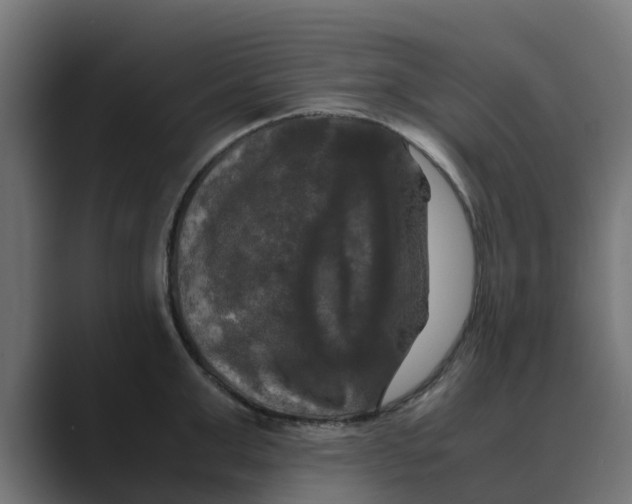 X0000088480999200706191403